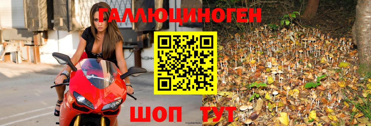 Псилоцибиновые грибы GOLDEN TEACHER Нижний Тагил