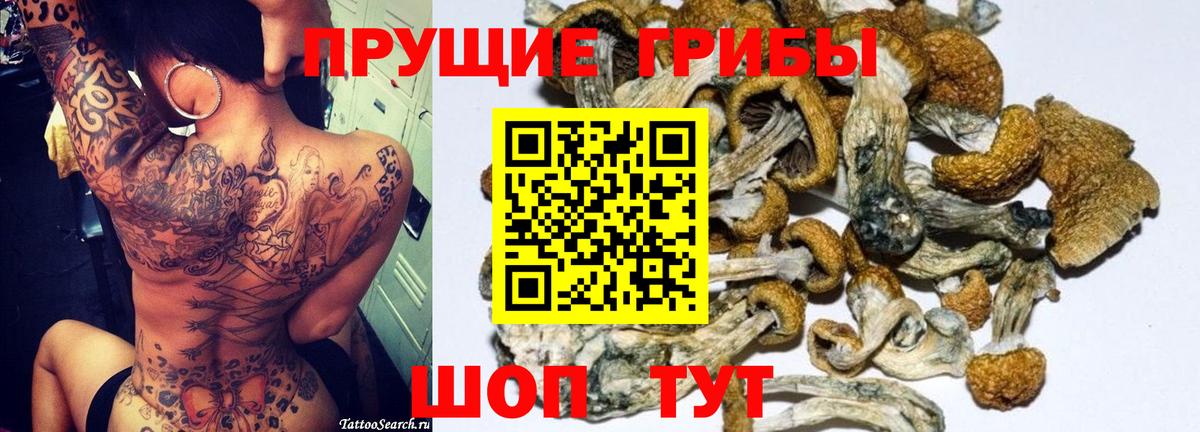 Псилоцибиновые грибы Psilocybe  Галлюциногенные грибы Psilocybine cubensis  Нижний Тагил  Вход с VPN 